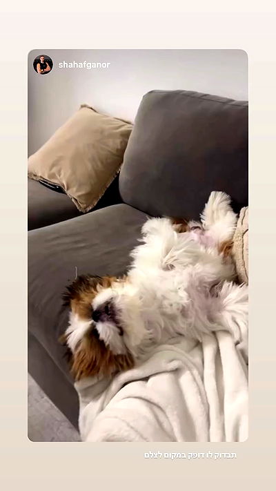 noammalka___ noammalka___ archive video