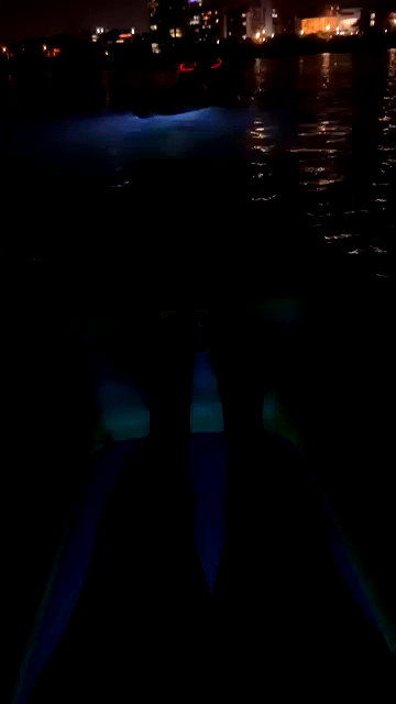 leahsylvander archive video preview
