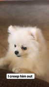 jailyneojeda Altpins Profile Picture