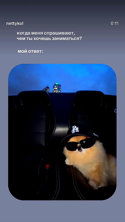 ninja.vi ninja.vi archive video