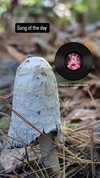 zz.eazoning Altpins Profile Picture