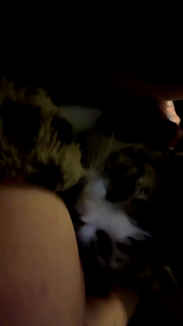 hellokittyangel666 archive video preview