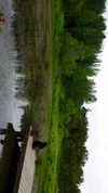 rommy_banouz Altpins Profile Picture