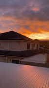 eloise_wensley Altpins Profile Picture