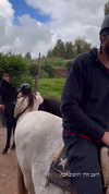 romy.benshushan Altpins Profile Picture
