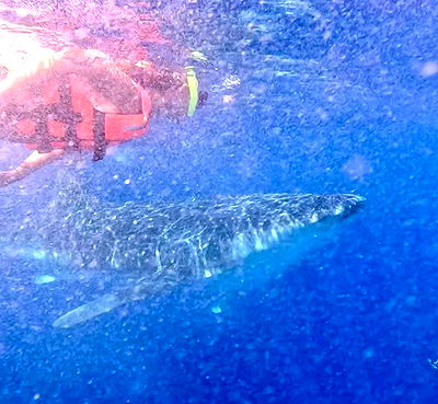 valeria_lukin valeria_lukin archive video