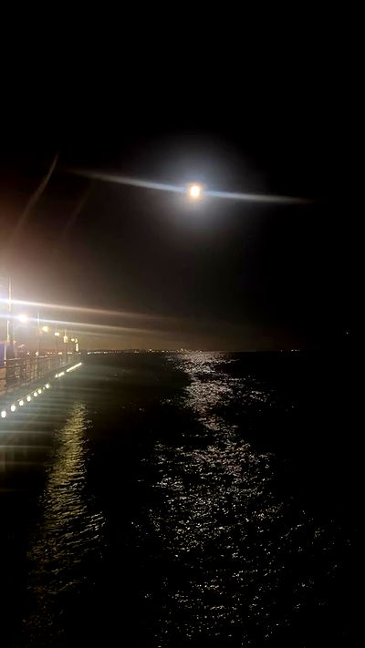 zommmbri zommmbri archive video