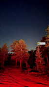 valeriecastellano Altpins Profile Picture