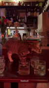 jjas.ding Altpins Profile Picture