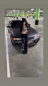 dinasaur_0_0_ Altpins Profile Picture