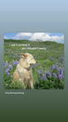braainr0tt Altpins Profile Picture