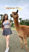 supcaitlin Altpins Profile Picture