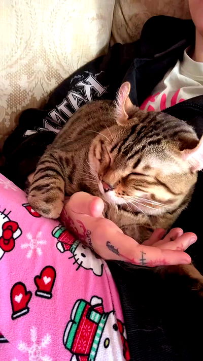 laurinchhhe laurinchhhe archive video