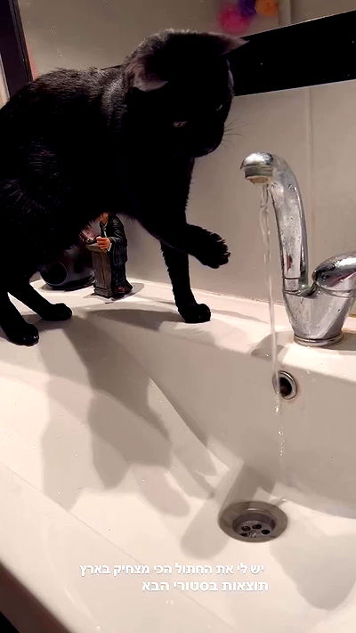 rebecka_tsadok rebecka_tsadok archive video