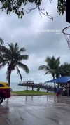 shelly_roberin Altpins Profile Picture