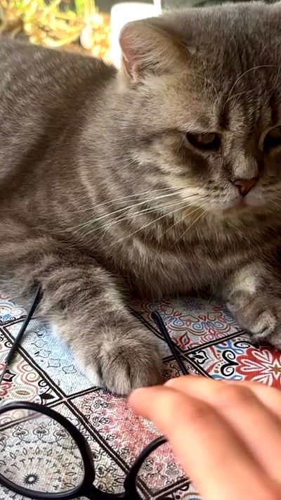 natalllluli natalllluli archive video