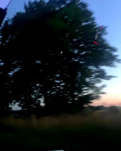 yoo.mon yoo.mon archive video