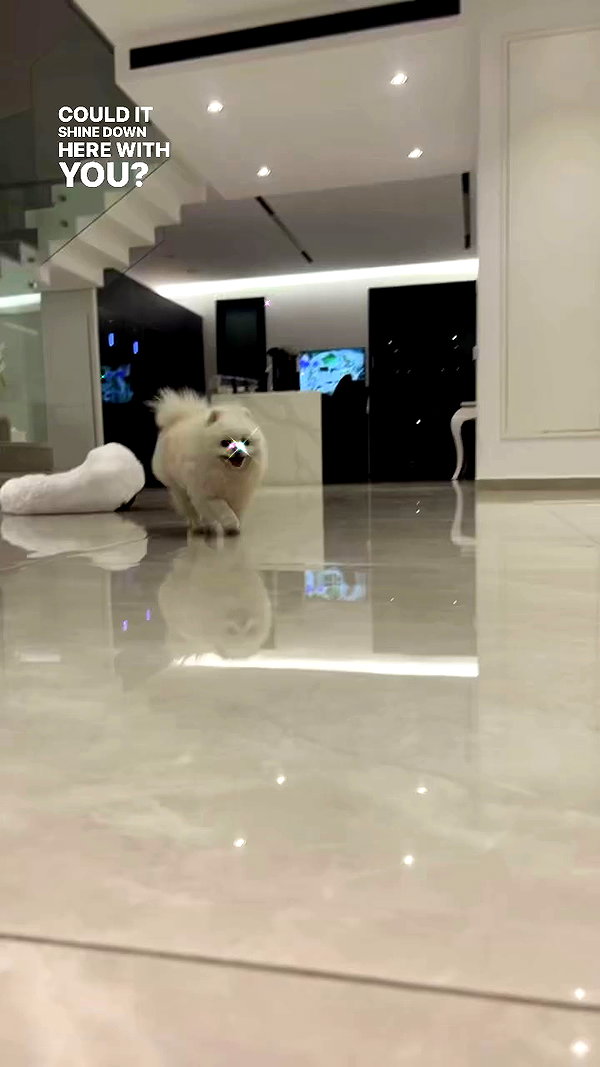 larin_manor10 archive video preview