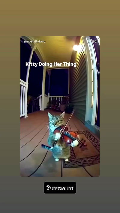 moonliliaght moonliliaght archive video