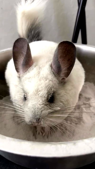 sedonaskyxo sedonaskyxo archive video