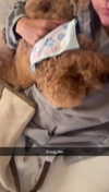 cclaire.bbear1 Altpins Profile Picture