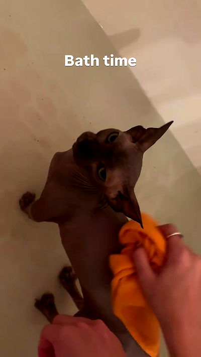 iluvmeww iluvmeww archive video