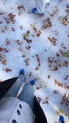 shir_revivo1 Altpins Profile Picture