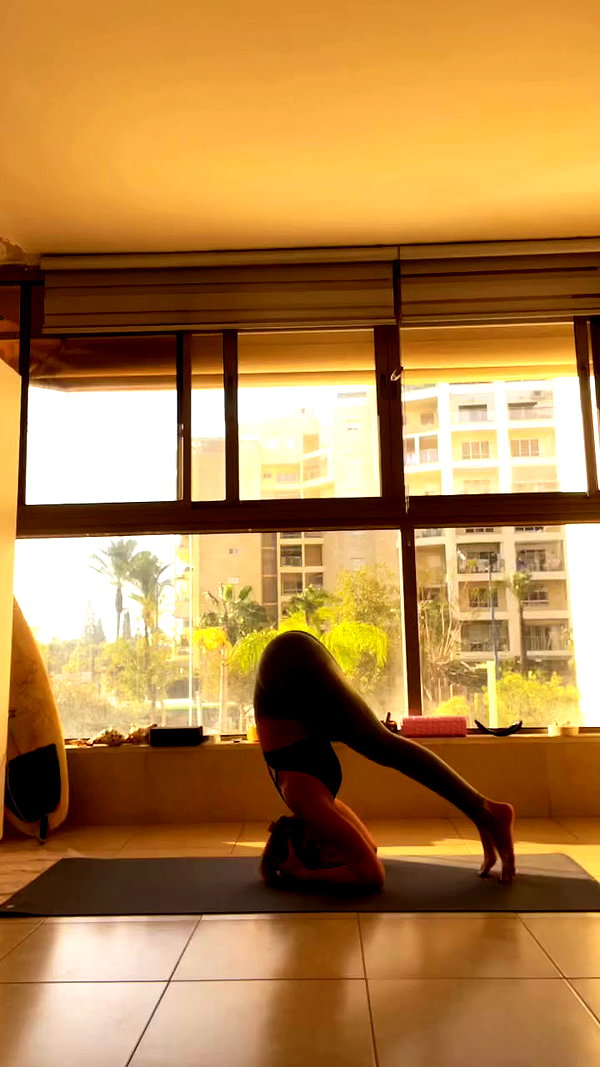 liad.arazi archive video preview