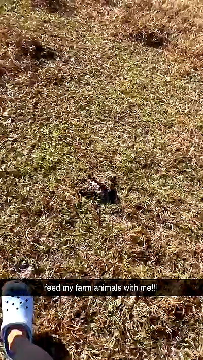 sophieraiin sophieraiin archive video