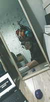 da.rk_.angel Altpins Profile Picture