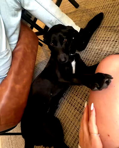 dashka.naz dashka.naz archive video