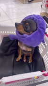 jenny.kaly Altpins Profile Picture