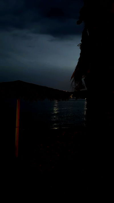 alisa.paigin alisa.paigin archive video