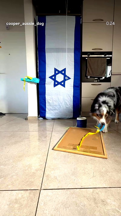 romy_ayalla_lavi romy_ayalla_lavi archive video