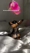 jenny.kaly Altpins Profile Picture