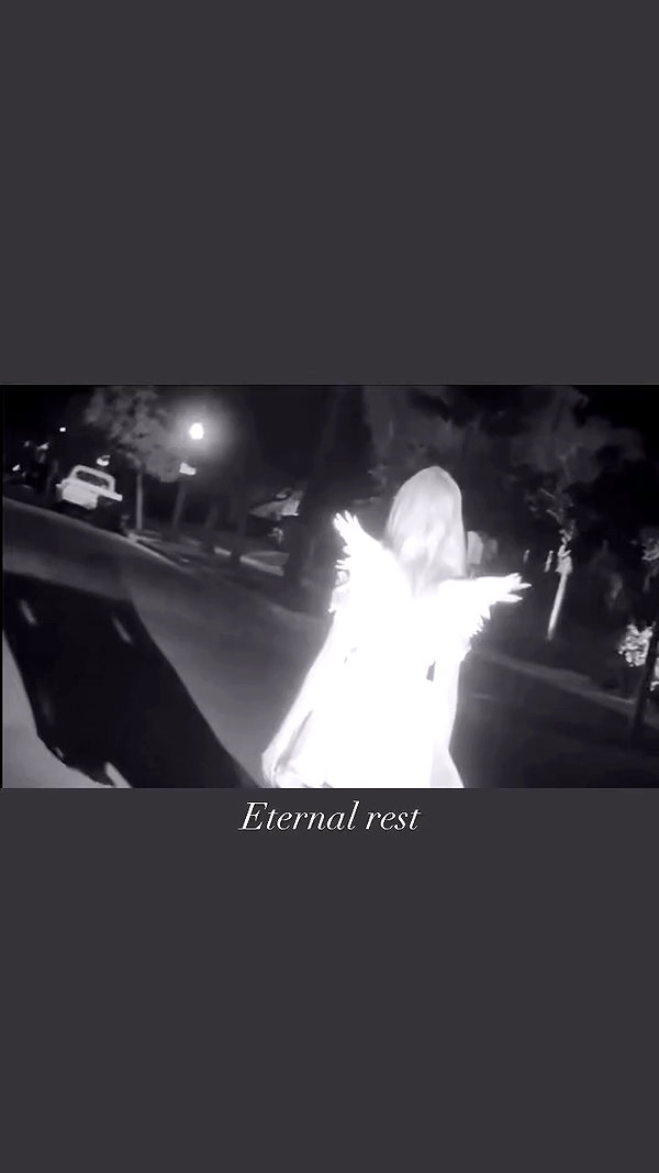 hilaxkitty archive video preview