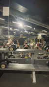 bar.assraf Altpins Profile Picture