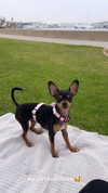 jenny.kaly Altpins Profile Picture