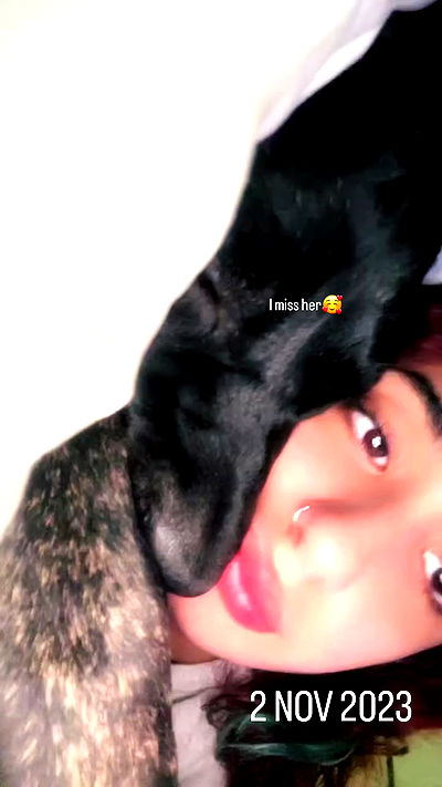 _lil_noa_ _lil_noa_ archive video