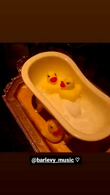 shayli_or shayli_or archive video