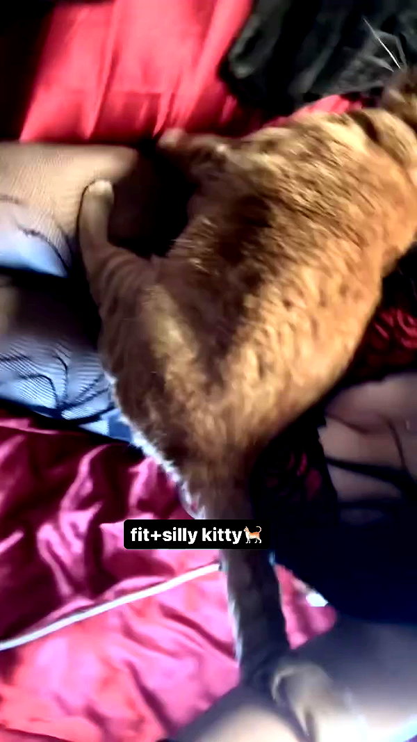butter.on.a.poptart69 archive video preview