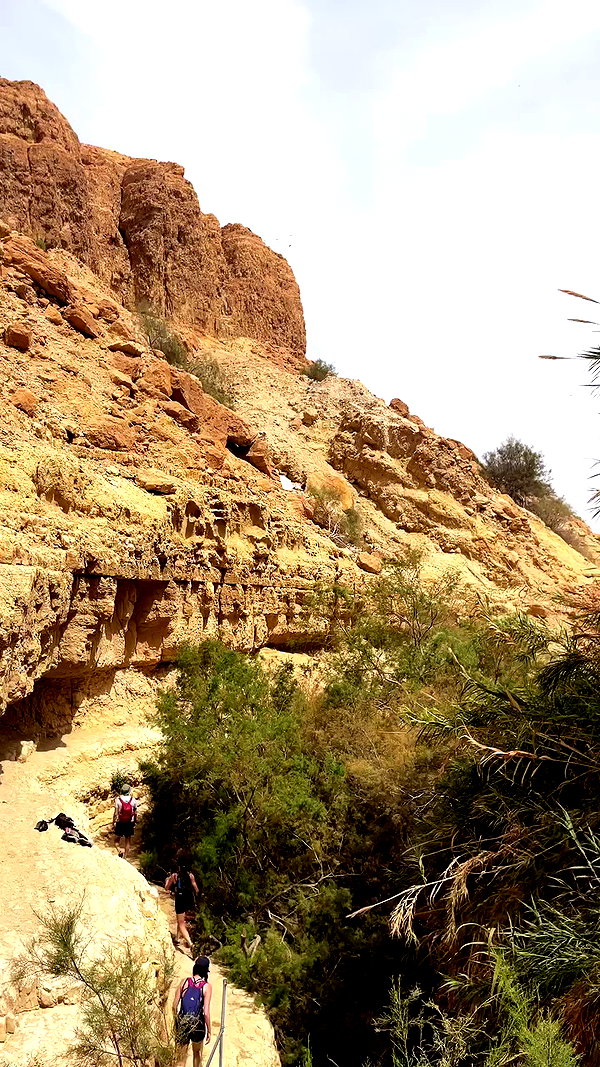 liad.arazi archive video preview