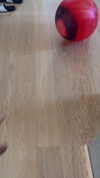 railey.tv Altpins Profile Picture