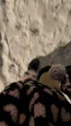 delicatedo11y Altpins Profile Picture