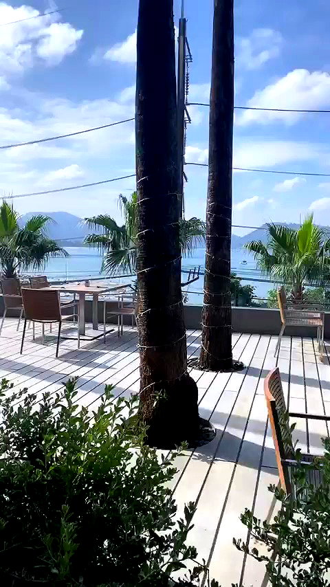 lin__099 archive video preview