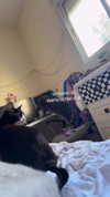 canabaputgir Altpins Profile Picture