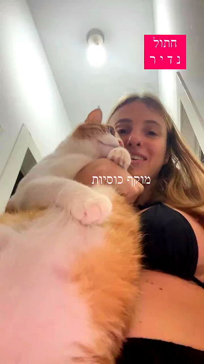 iambohema.v2 iambohema.v2 archive video