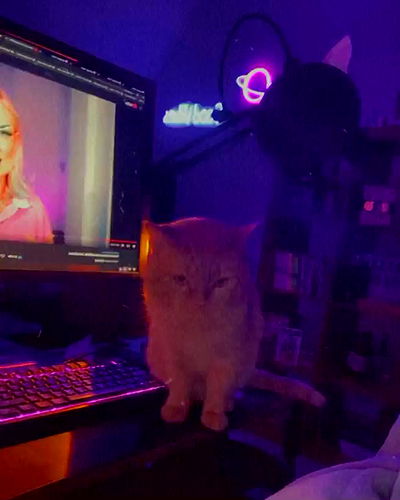 yoo.mon yoo.mon archive video