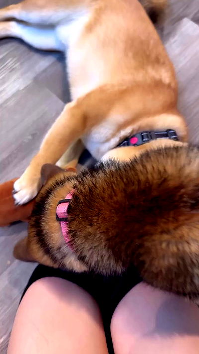 yungbratzh yungbratzh archive video