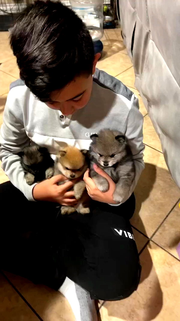 jailyneojeda archive video preview